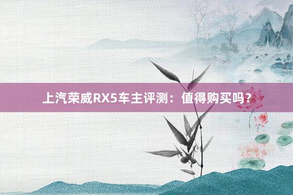 上汽荣威RX5车主评测：值得购买吗？